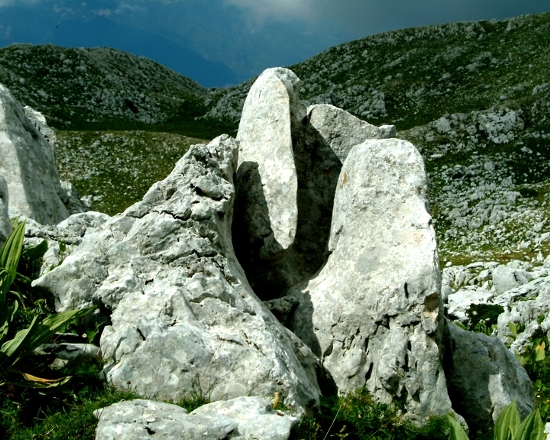 Sculture naturali